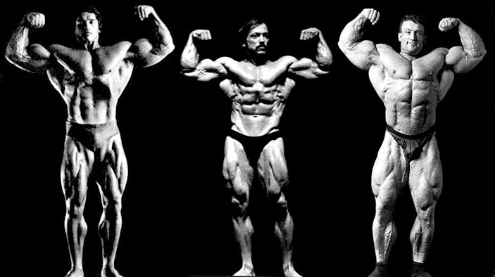 Arnold 1980